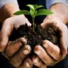 Peat Moss 5 kg  For All Type Seedling Professional Garden Soil Mix