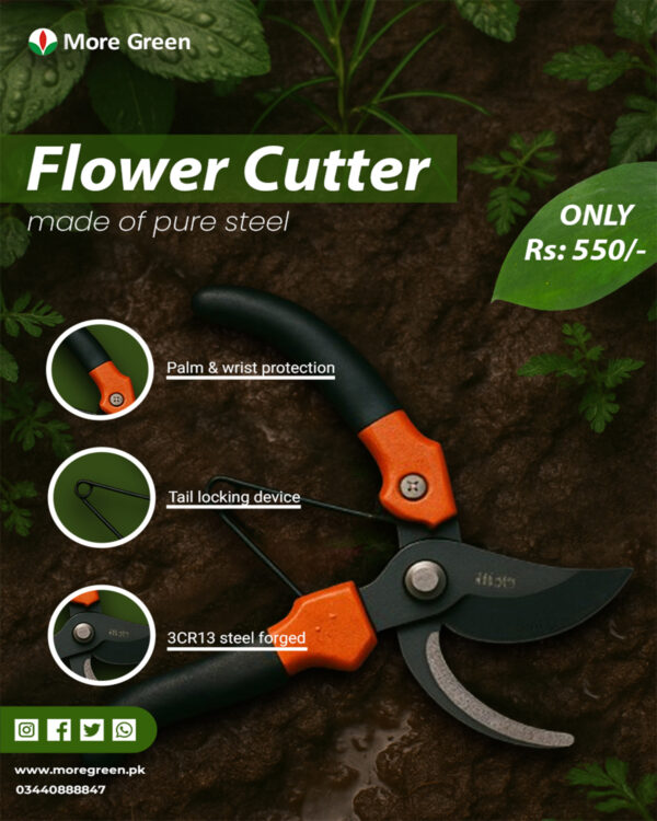 Post 4 Flower cutter with free gift