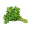 Coriander (Dania) - 250 Plus Seeds By More Green