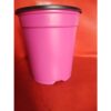 Pack of 10-COLOR Flowering Pots IMPORTED Length 7.75  inch Diameter 6  inch BY More Green