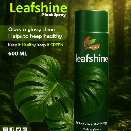 Perfect Plant Spray - Leaf Shine