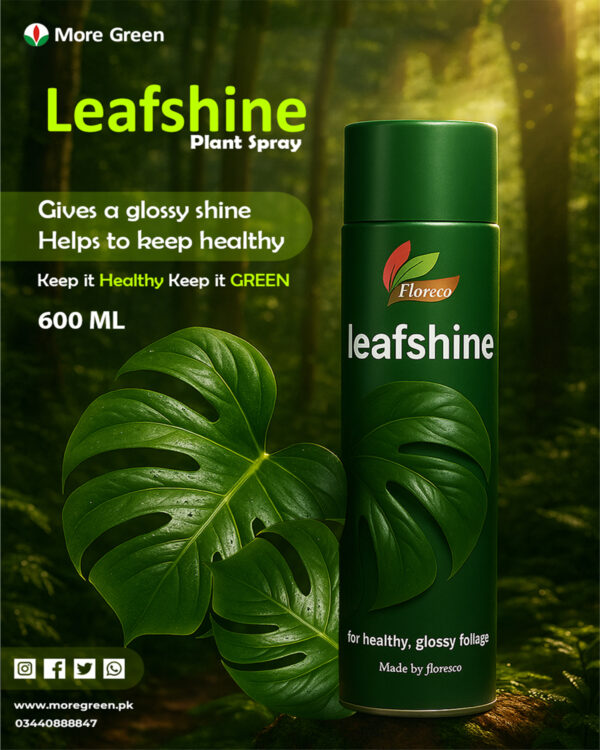 post 3 Perfect Plant Spray - Leaf Shine