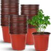 Pack of 10 Premium Quality 4.1×4.1Inches Plastic Flowerpot - Plastic Pots for Plants - Plastic Pots for Home Gardening
