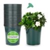 Pack of 10 Premium Quality 4.1×4.1 Inches Plastic Flowerpot - Plastic Pots for Plants - Plastic Pots for Home Gardening