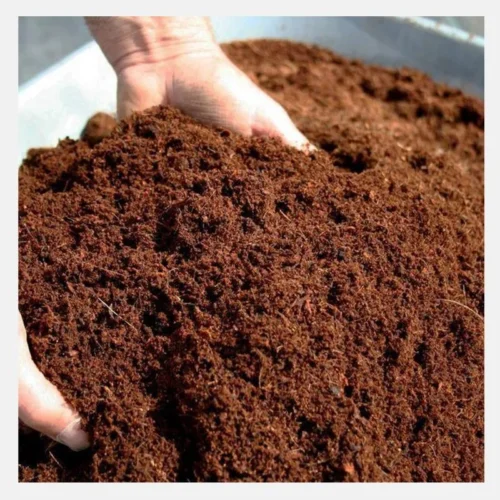 Coco peat Ready to use 1 Kg