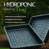 Bottom watering trays for seeds and plants hydroponic trays -PACK OF 2 -BY MORE GREEN