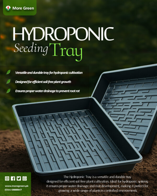 Bottom watering trays for seeds and plants hydroponic trays -PACK OF 2 -BY MORE GREEN