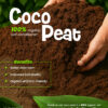 Coco peat Brick 600 Grams
