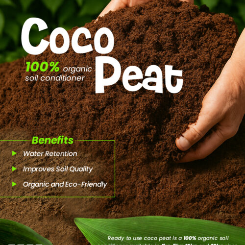 Coco peat Brick 600 Grams