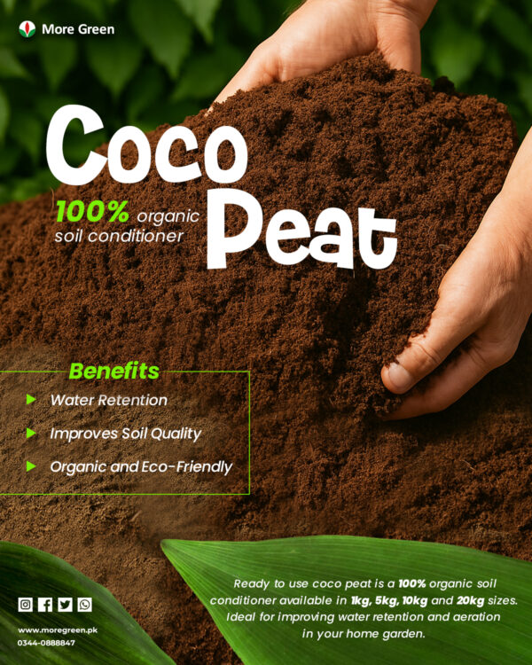 Post 7 Coco peat Brick 600 Grams