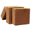 Coco peat Brick 600 Grams