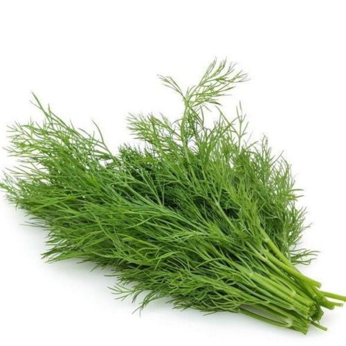 Dill Seeds