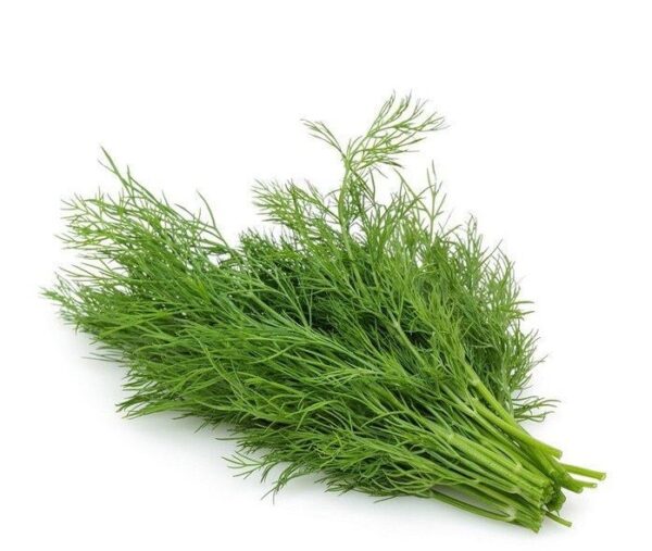 Dill Dill Seeds