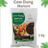 Cow Manure Compost