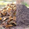 LEAF COMPOST