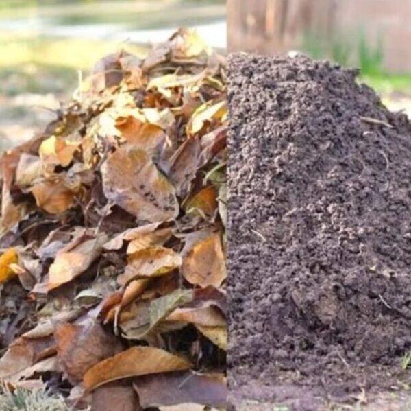 Screenshot 2025-07-09 221422 LEAF COMPOST