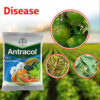 Antracol 70WP Propineb 1kg Fungicide