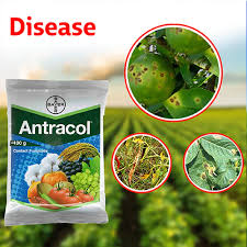 antra Antracol 70WP Propineb 1kg Fungicide