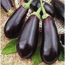 Black Eggplant Long (بیگن) OP Seeds