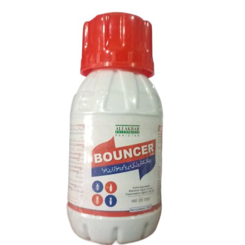 Bouncer 2.5 EC