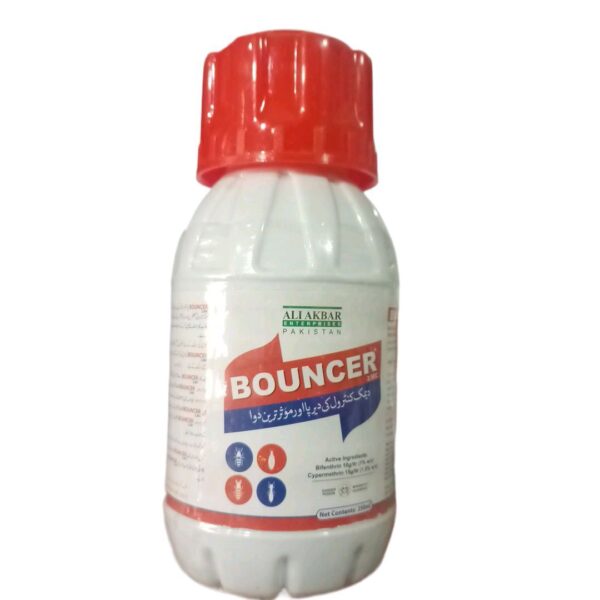 Bouncer 2.5 EC