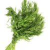 Fennel Leaf Seed