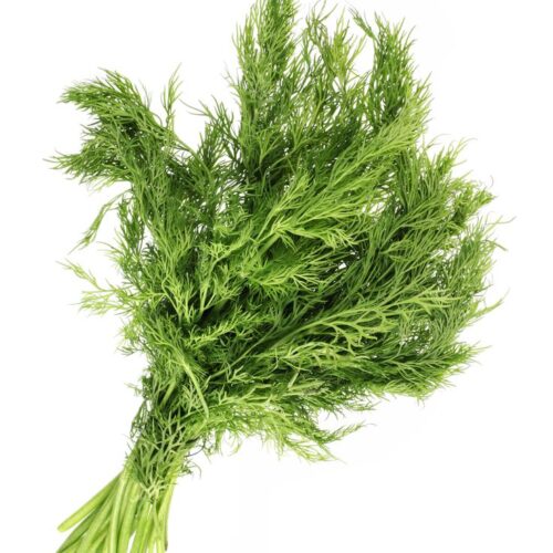 Fennel Leaf Seed