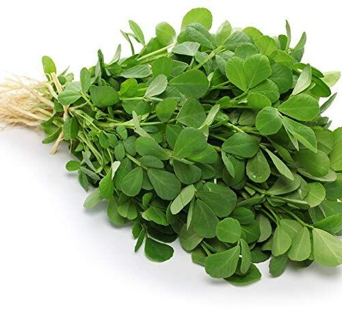 Fenugreek (میتھی) Desi OP Seeds