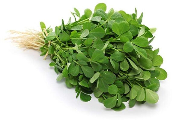 fn Fenugreek (میتھی) Desi OP Seeds