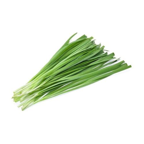 Garlic Chives (Chinese leek)