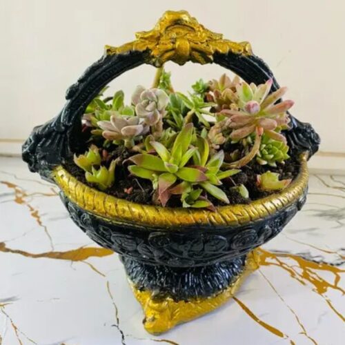 Handcrafted Cement Pot with Succulent Plants – Indoor & Outdoor