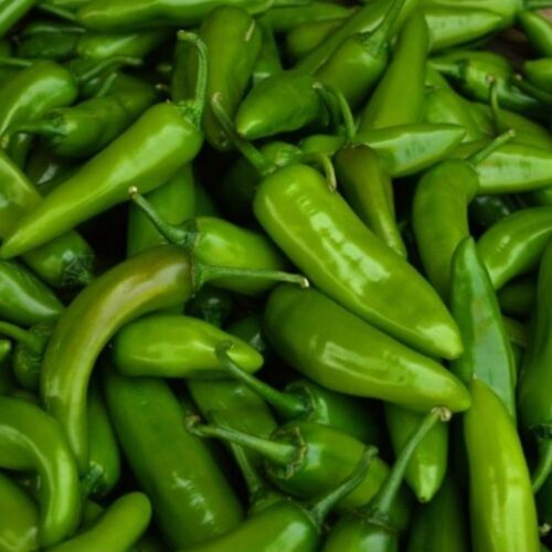 Jalapeno Mexican Pepper Hybrid F1 Seeds