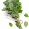 Oregano
