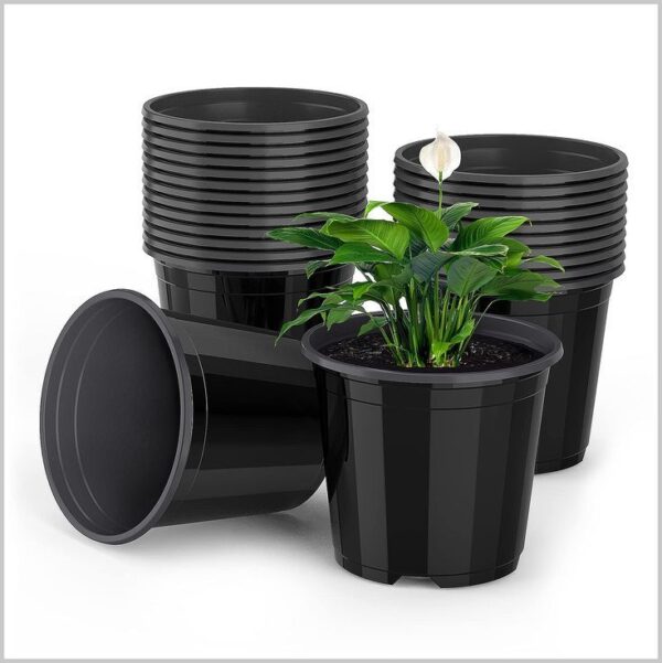 p51 Plastic Pot 5 inch Black