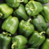 Pepper Green Bell (شملہ مرچ) Hybrid F1 Seeds