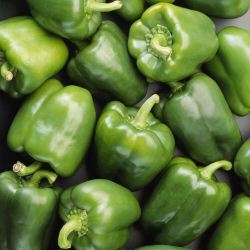 Pepper Green Bell (شملہ مرچ) Hybrid F1 Seeds