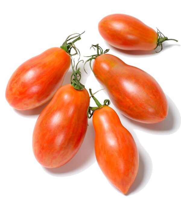 pure Pure Desi Tomato (ٹماٹر)