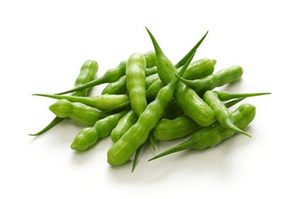 Radish Pods (مونگرہ) Desi OP Seeds