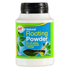 Rooting Powder 50GM