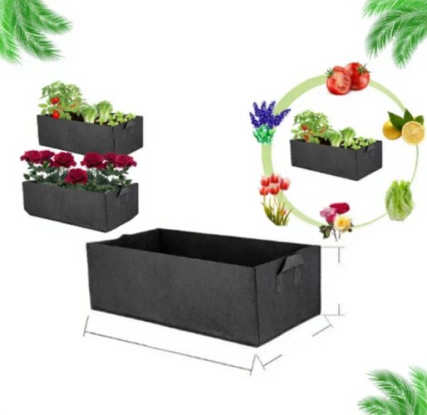 rose2 Rose Bed grow Bags