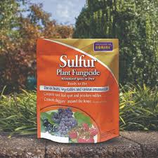 Sulphur Plant Fungicide Powder 250 grams