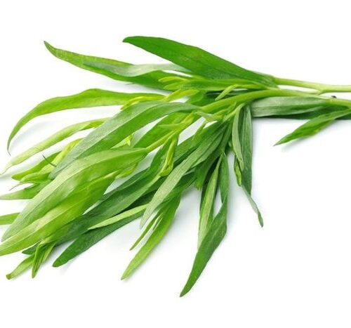 Tarragon Seeds