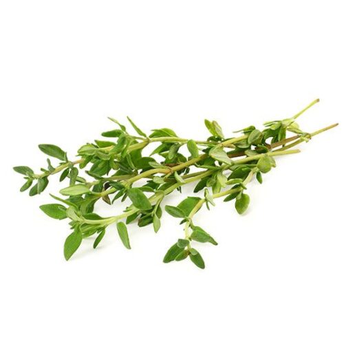 Thyme Seed