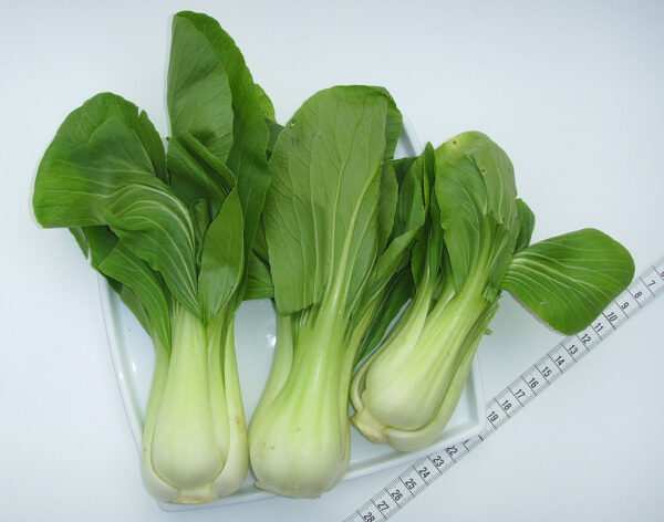 1200px-Baby_Pak_Choi_(02) Pak Choi Seeds – Fast-Growing, Mild Asian Green for Stir-Fries & Salads