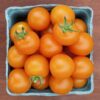 2971-0 Cherry Tomato Orange (Organic) – Sweet, Golden Heirloom Snack Tomato