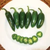 32111-JB-Jalapeno-Pepper Jalapeno Mexican Pepper Hybrid F1 – Spicy, High-Yield