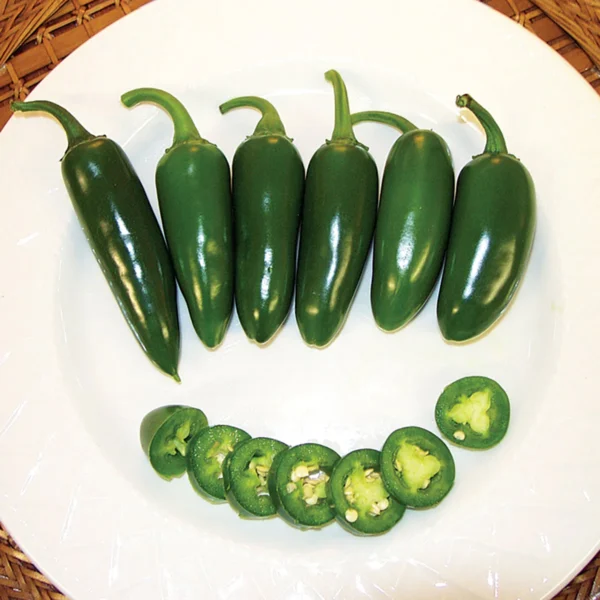 32111-JB-Jalapeno-Pepper Jalapeno Mexican Pepper Hybrid F1 – Spicy, High-Yield