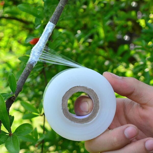 714+b1asDGL Grafting Tape/Film – Stretchable & Self-Adhesive