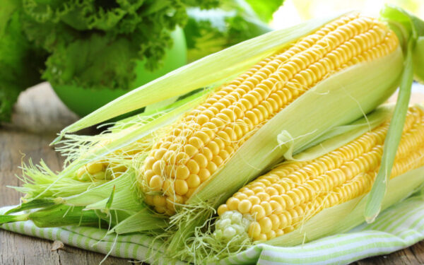 Sweet Corn F1 Hybrid – High-Yield, Juicy Winter Crop (10 seeds)