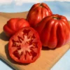 Cesare-s-Canestrino-di-Lucca-Tomato-vendor-unknown-1630679848 Prime Canestrino Heirloom Tomato F1 – Classic Italian Oxheart for Sauces